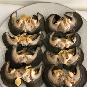 Fresh snails jumbo (10pk)