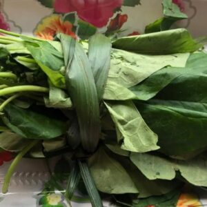 Fresh Utazi leaves