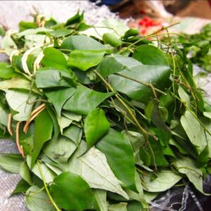 Frozen UTAZI leaf ( washed and sliced)