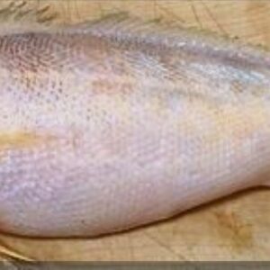 Butter Fish( small eye croaker) pk
